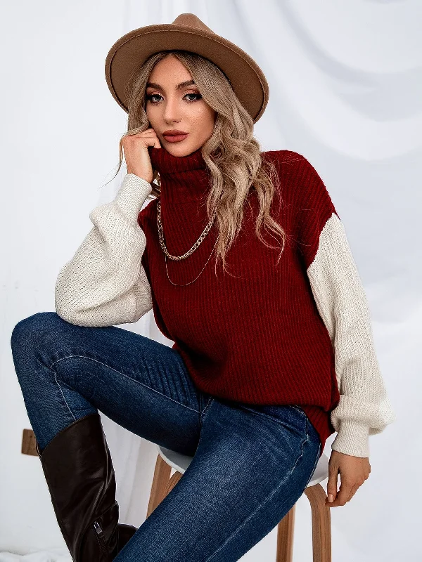 Casual Colorblock Long Sleeve High Neck Regular Women Sweater