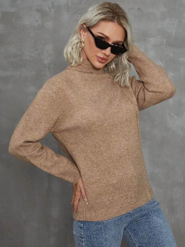 Casual Plain Cut Out Long Sleeve High Neck Regular Women Sweater