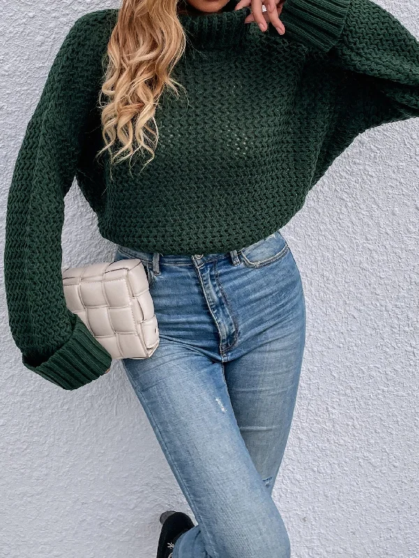 Casual Plain Long Sleeve High Neck Regular Women Sweater